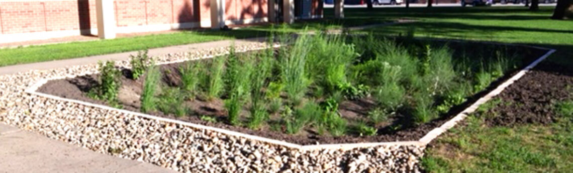 Stop and See the Clarke County Courtyard Rain Garden
