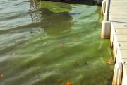 west lake osceola water source quality