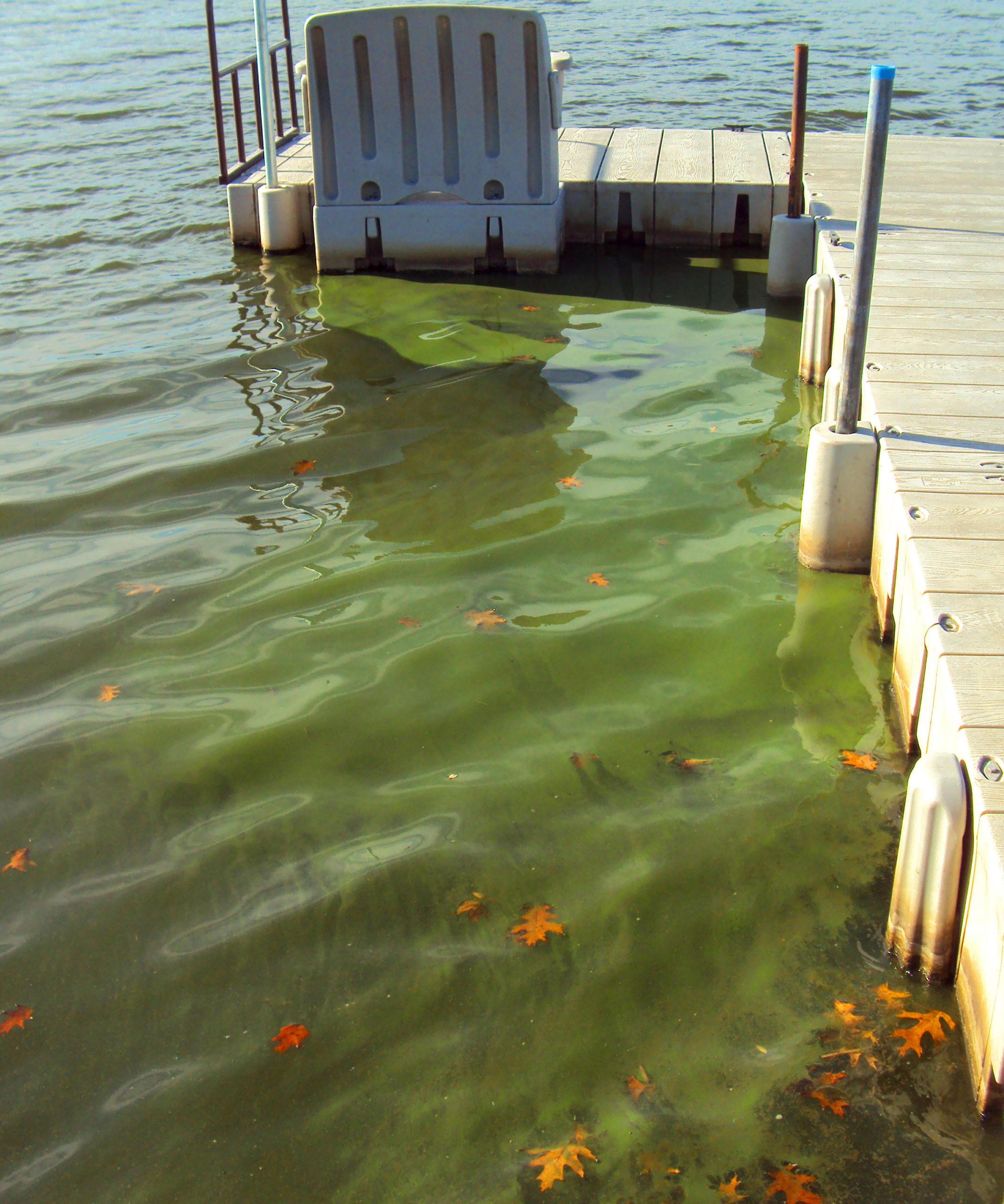 west lake osceola water source quality