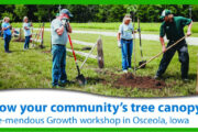SPECIAL EVENT – Grow Your Community’s Tree Canopy