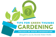 Spring Has Sprung – Creative Gardening While Conserving Water
