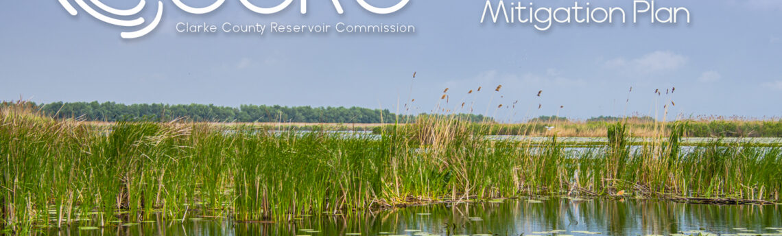 CCRC Embarks on Development of Compensatory Wetlands Mitigation Plan