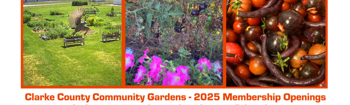 Clarke County Community Gardens Kicks off Spring with New Membership Drive