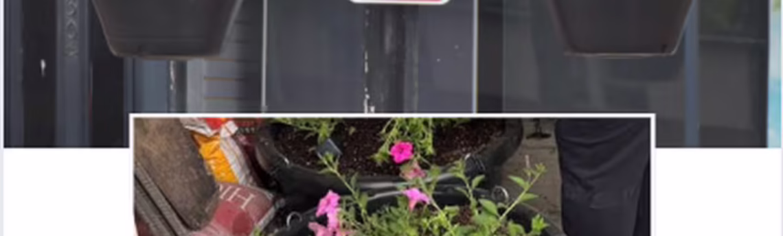 Flowers to add vibrance to downtown Osceola