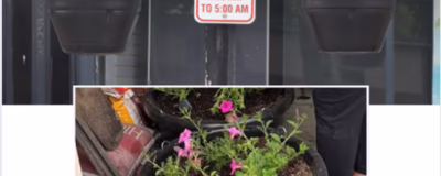 Flowers to add vibrance to downtown Osceola