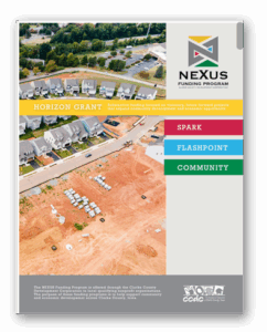 horizon grant application download