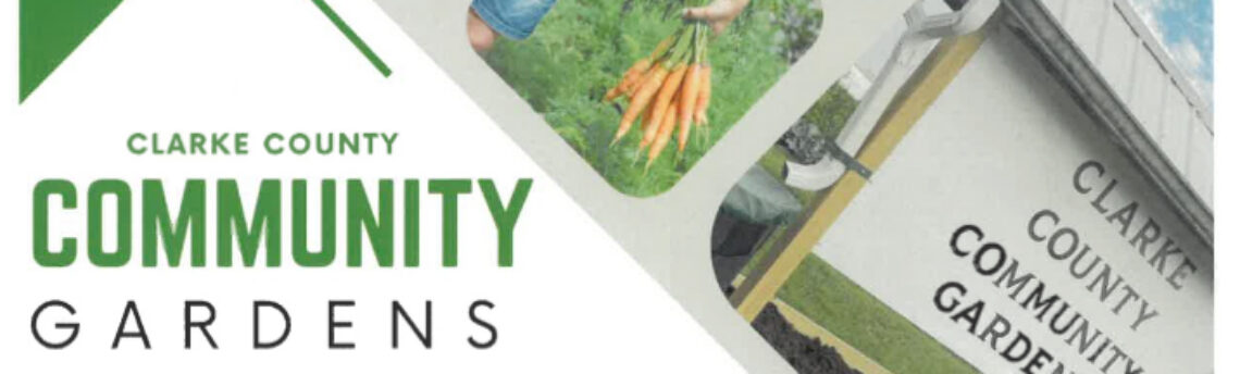 Got a Green Thumb? Clarke County Community Gardens Returns for 2026 Growing Season